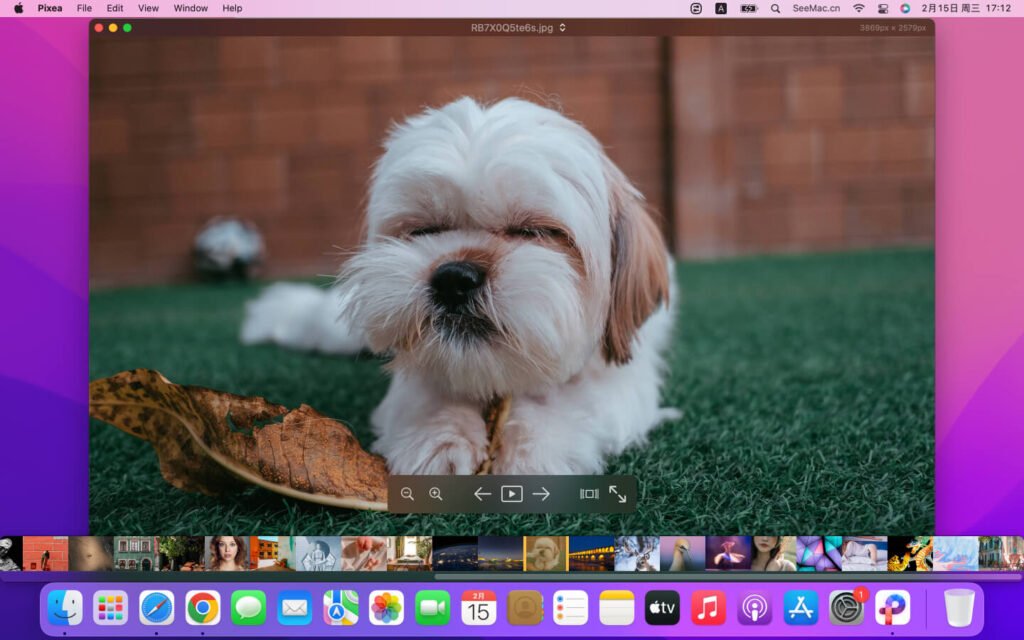 Pixea Plus 8.1.0 for MacOS